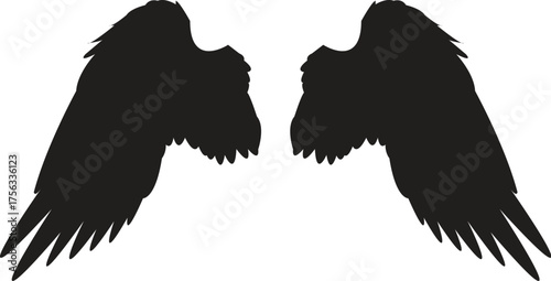 silhouette Pair of Wings bird