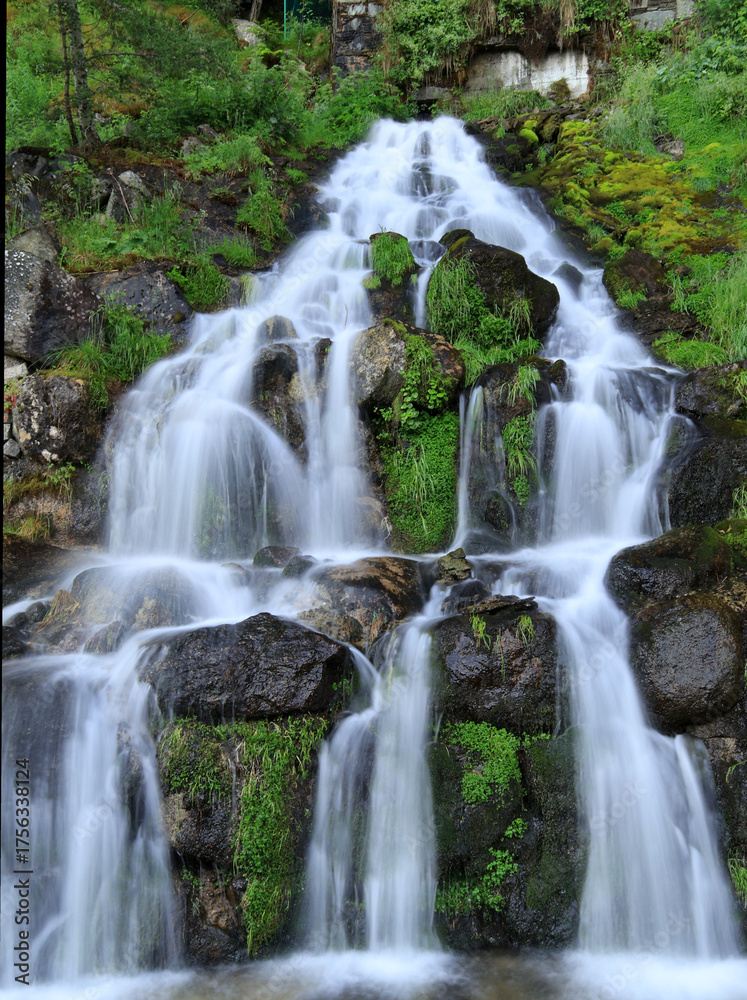 Fototapeta premium waterfall in the forest