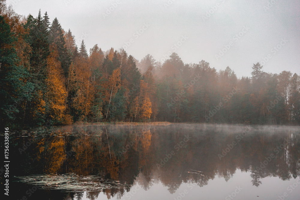 Fototapeta premium Misty autumn forest reflected in a calm lake