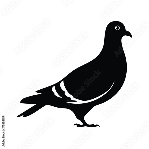 Pigeon  silhouette icon on white background.