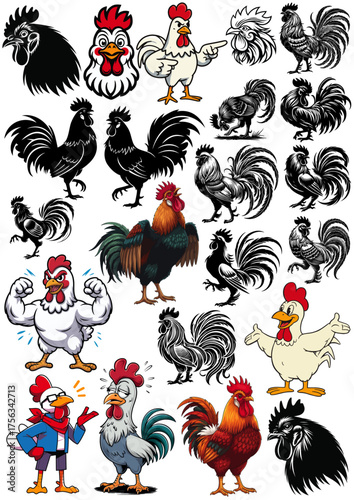 Rooster vector