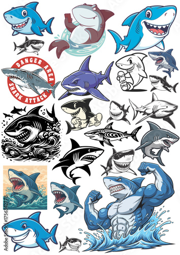 SHARK  VECTOR