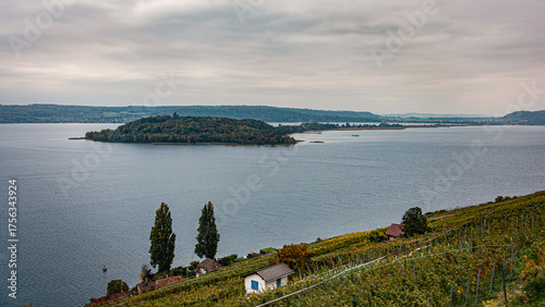 Bielersee mit St. Petersinsel