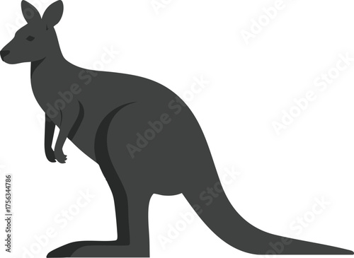 kangaroo