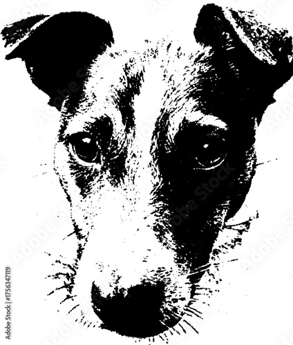 High contrast black and white canine portrait art for tattoo design