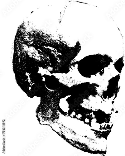 Black and white high contrast stylized skull illustration for gothic art and design