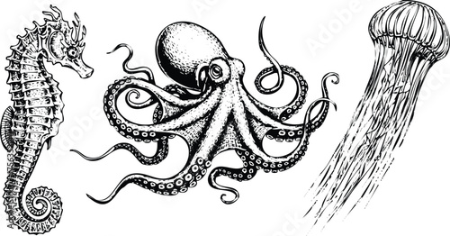 Vector art of seahorse, octopus, and jellyfish sketches engraving art design