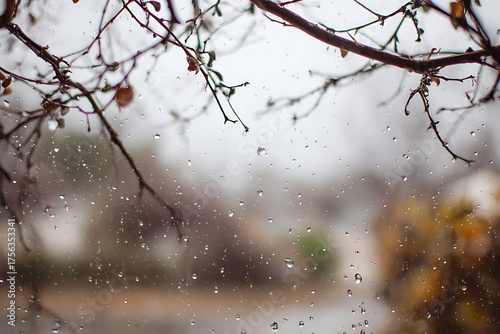 Wallpaper Mural Raindrops clinging to bare branches create a moody, atmospheric scene, evoking feelings of introspection and the beauty of nature's quiet moments. Torontodigital.ca