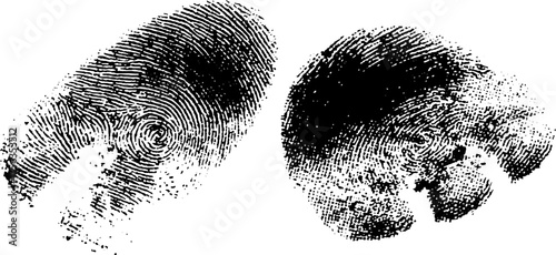High contrast black and white fingerprint art for forensic design and analysis