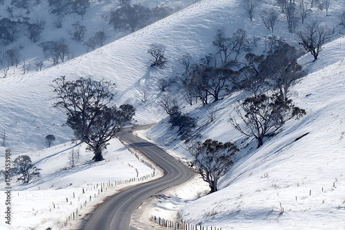 Wallpaper Mural Winding mountain road disappears into snowy landscape with stark, bare trees casting long shadows on a crisp winter day Torontodigital.ca