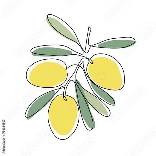 Argan tree branch. Modern single line art drawing. Continuous line drawing. Outline draw design color vector illustration