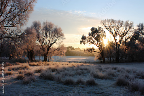 Wallpaper Mural Golden sunbeams pierce frosty trees and frosted grass in a serene winter landscape at dawn, evoking peace and natural beauty. Torontodigital.ca