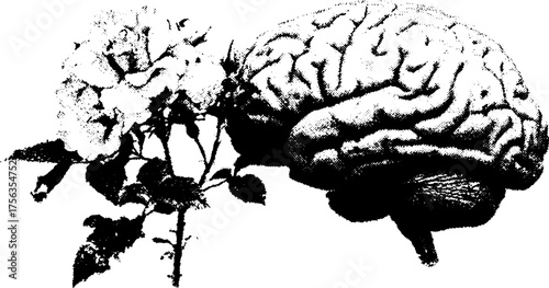 High contrast black and white human brain and flower design for poster or tattoo art