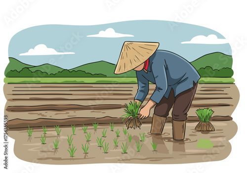 A farmer plants rice seedlings in a flooded paddy field.  Warm tones, rural setting, traditional attire.  Clear, detailed illustration.