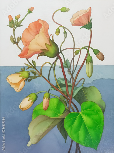Delicate peach and orange flowers with green leaves and buds in soft light botanical art