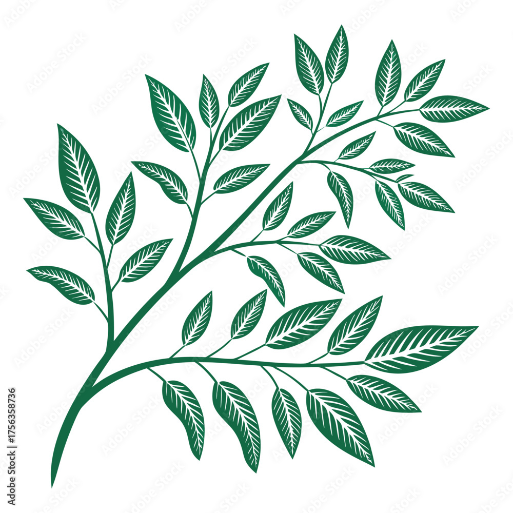 Fototapeta premium Green branch with leaves vector illustration