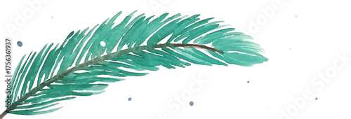 Vector watercolour spruce branch with falling snow on transparent background.