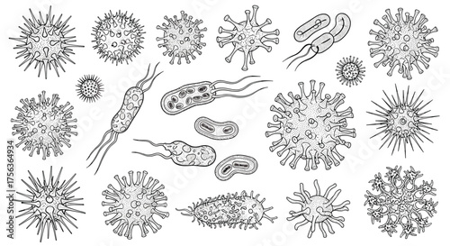 A diverse collection of microscopic organisms and viral structures depicted in a detailed illustration.
