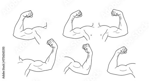 Diverse poses of a flexed human bicep muscle showing its shape and definition.