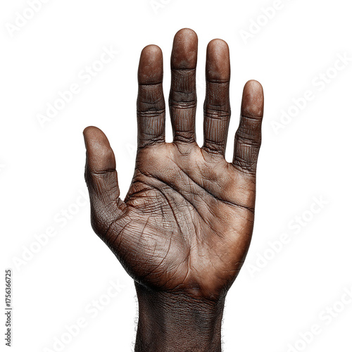 hand on white background