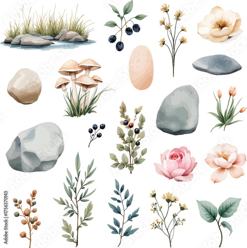 Watercolor illustration of natural elements isolated