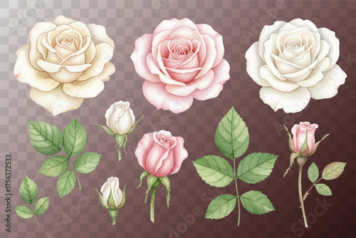 White and pale pink color rose isolated on white background vector illustrati...