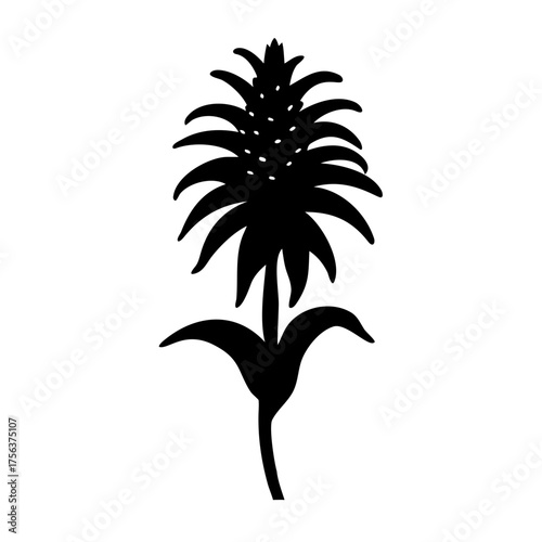 Vector art of a detailed black silhouette of a flowering plant with a prominent spike and broad leaves, isolated on a