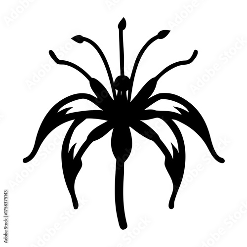 Vector art of a striking black silhouette of an exotic, starshaped flower with multiple petals and stamens, isolated on a, evoking a sense of mystery and uniqueness