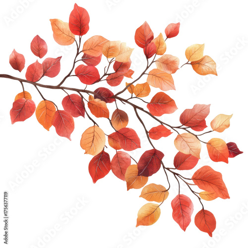 Autumn's Embrace: A Delicate Branch of Leaves painted with the vibrant colors of autumn, showcasing the season's transformation. 