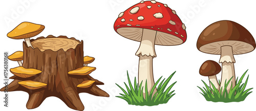 Mushroom and tree stump illustration vector set, red spotted fungi, orange-yellow mushrooms, forest cartoon elements, botanical icons, nature design