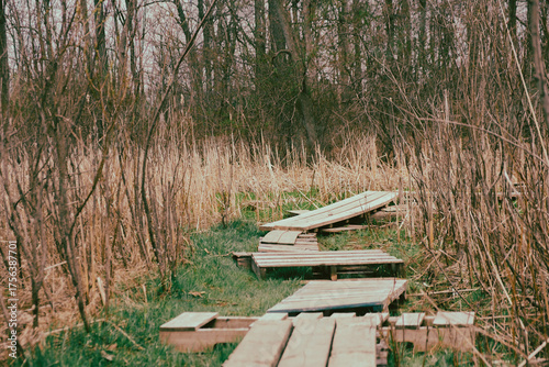 boardwalk in the woods