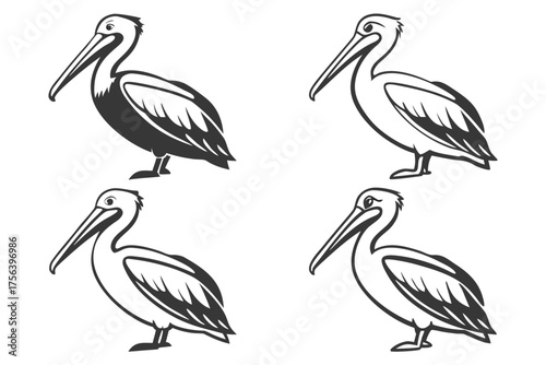 Realistic pelican icon set minimalist design