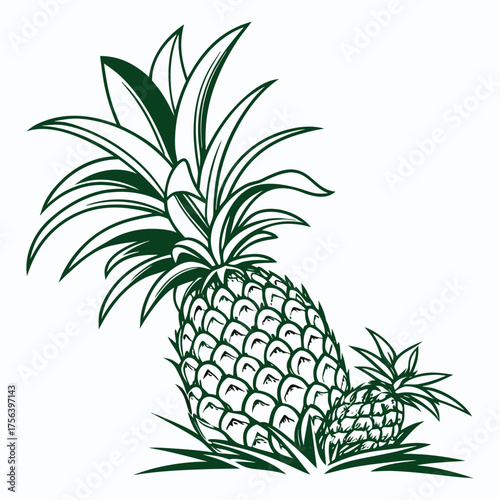 Pineapple Plant Graphic Design Element