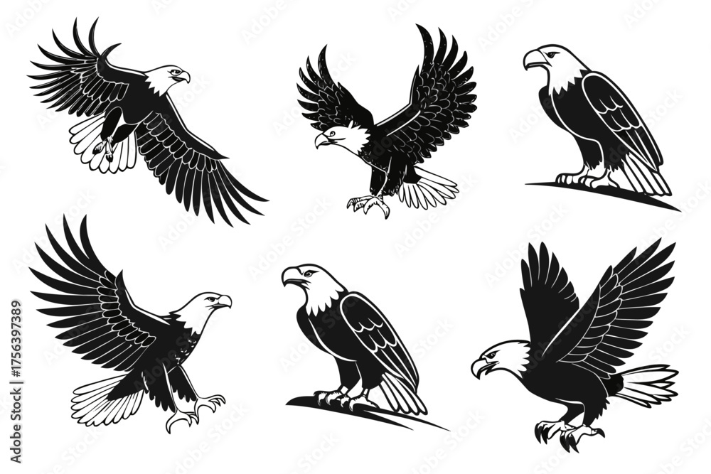 Obraz premium Realistic bald eagle icons set minimalist design