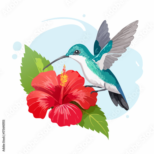 Kolibri auf Hibiskusblüte