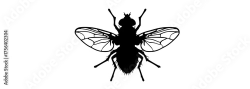 a black silhouette of a fly on a transparent backgroundblack, bug, insect, profile, wing 