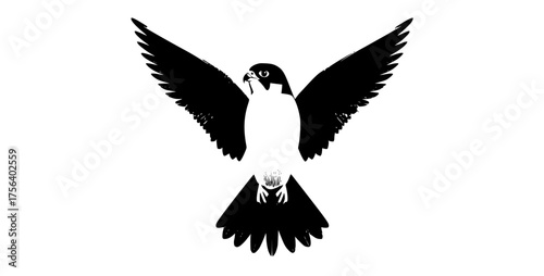 a black and white illustration of a bird in flight with its wings spread widebeak, bird, black, flap, flight, fly, illustration, magpie, penguin, sky, spread, white, wing 