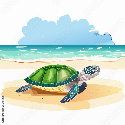 Schildkröte am Strand