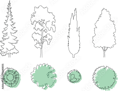  Set of vector silhouettes of architectural trees in elevation and plan view with green shading