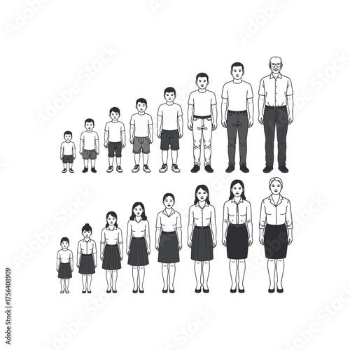 Line art figures showing human growth stages from child to adult man and woman girl teenager