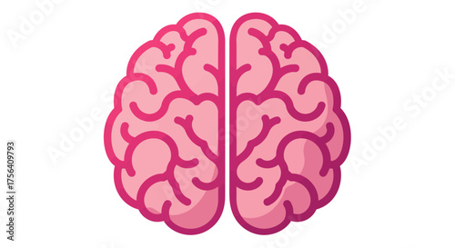 Detailed illustration of a human brain with visible cortical surface features