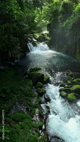 Serene Mountain Stream with Cascading Waters
