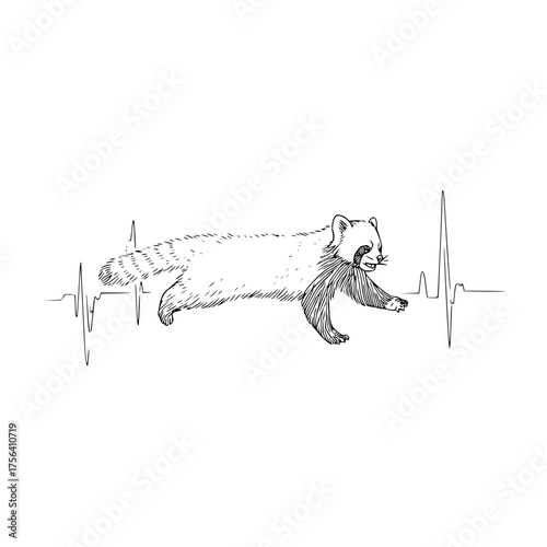 Raccoon heartbeat line art drawing vector illustration cute animal design perfect for wildlife lovers and pet owners