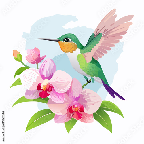Kolibri auf Orchideenblüte