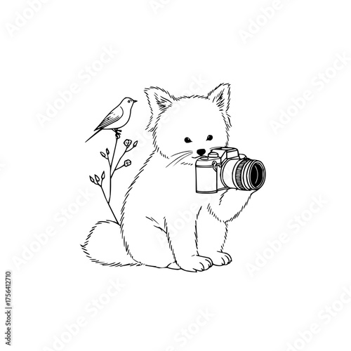 Cute animal photographer illustration of a cat taking a picture of a bird on a branch line art drawing
