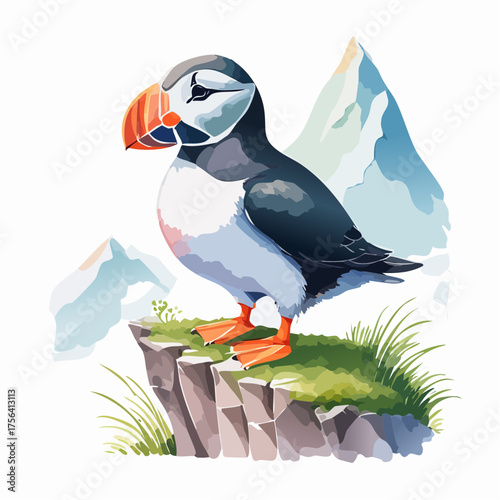 Papageitaucher auf Klippe