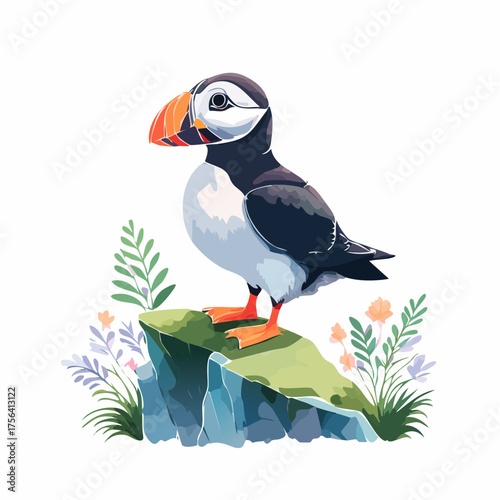 Papageitaucher auf Klippe