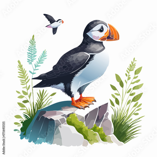 Papageitaucher auf Klippe