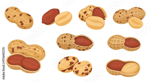 Collection of peanut illustrations, isolated and ready for snacking designs