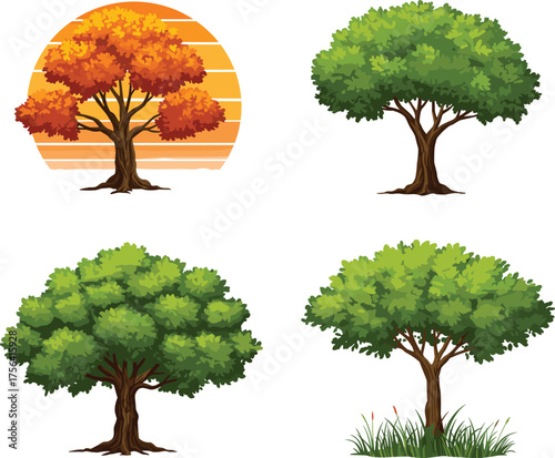 Illustration of seasonal trees with autumn foliage, summer greenery, wetland vegetation, sunset background, diverse botanical variety, natural environment, landscape design